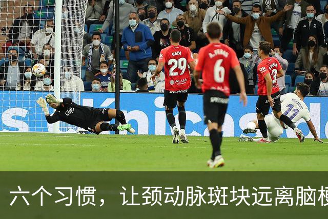 六个习惯，让颈动脉斑块远离脑梗的风险