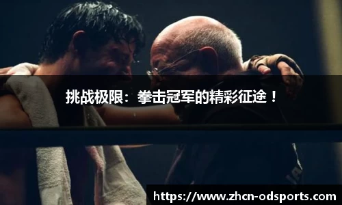挑战极限：拳击冠军的精彩征途 !