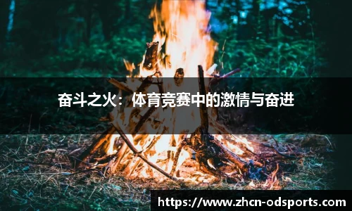 od官网平台